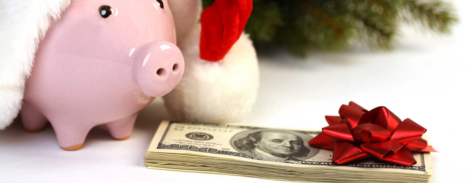 skip payment - VFCU