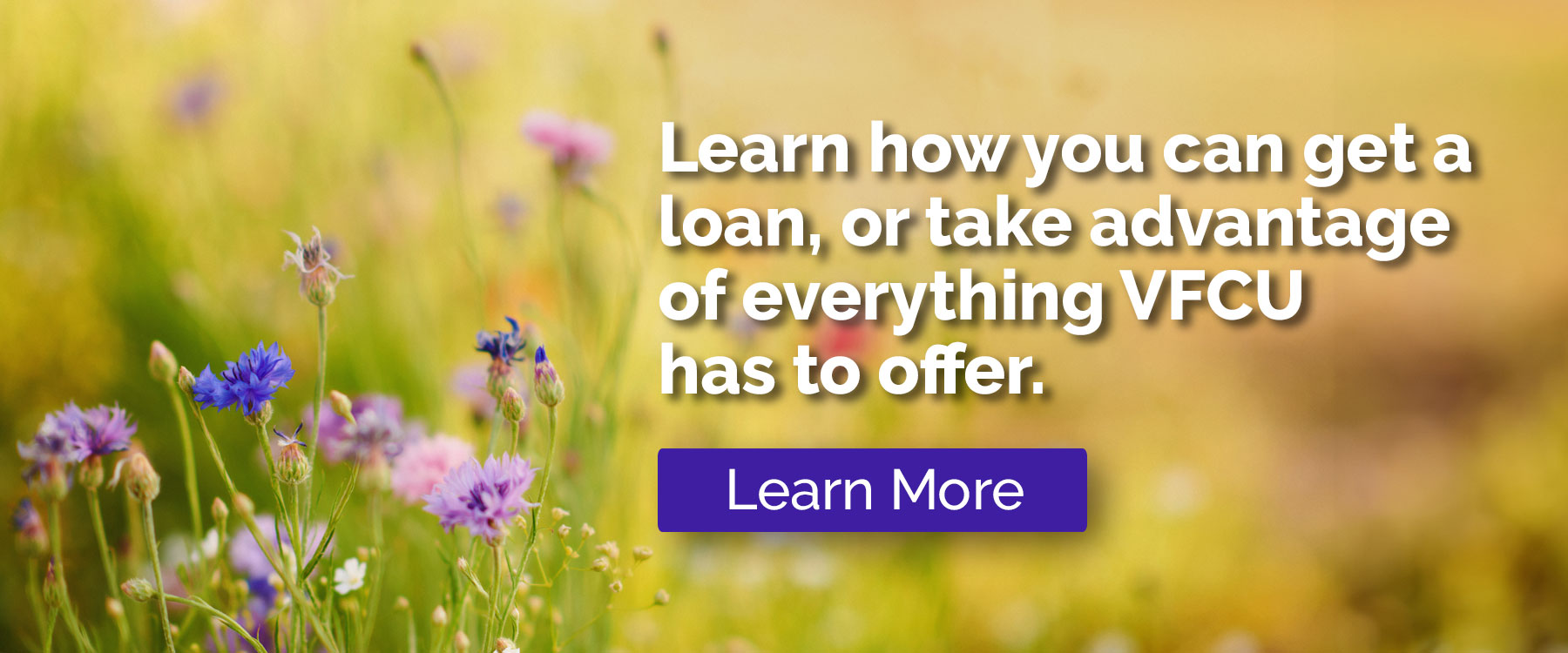 Valley Federal Credit Union - Harlingen Branch Brownsville Credit Union, Credit Union Brownsville, Harlingen Credit Union