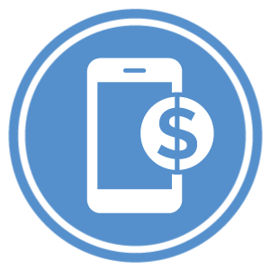Login to the Mobile Money App